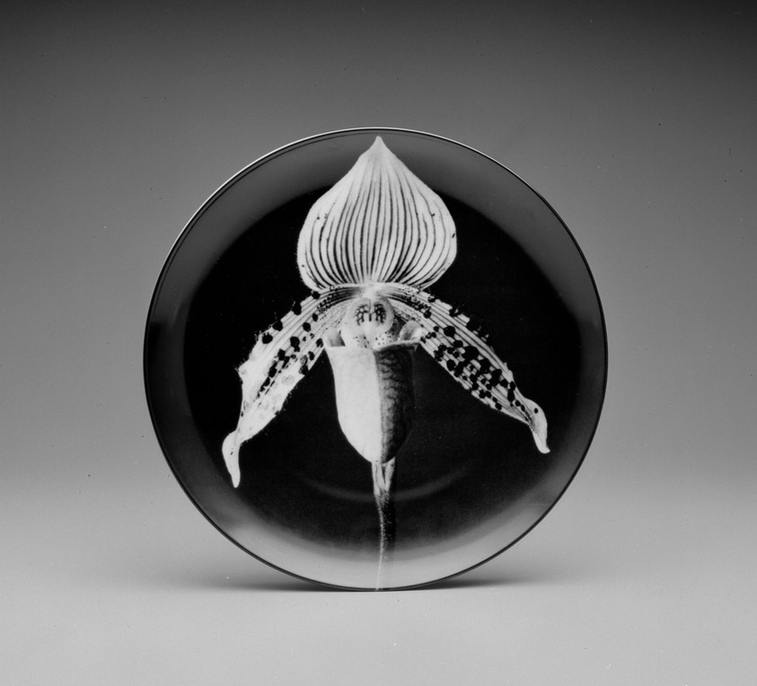 Robert Mapplethorpe (American, 1946-1989). <em>Plate, "Orchid,"</em> 1989. Porcelain, 1 3/8 × 12 × 12 in. (3.5 × 30.5 × 30.5 cm). Brooklyn Museum, Gift of Swid Powell, 1990.34.6 (Photo: Brooklyn Museum, 1990.34.6_view2_bw.jpg)