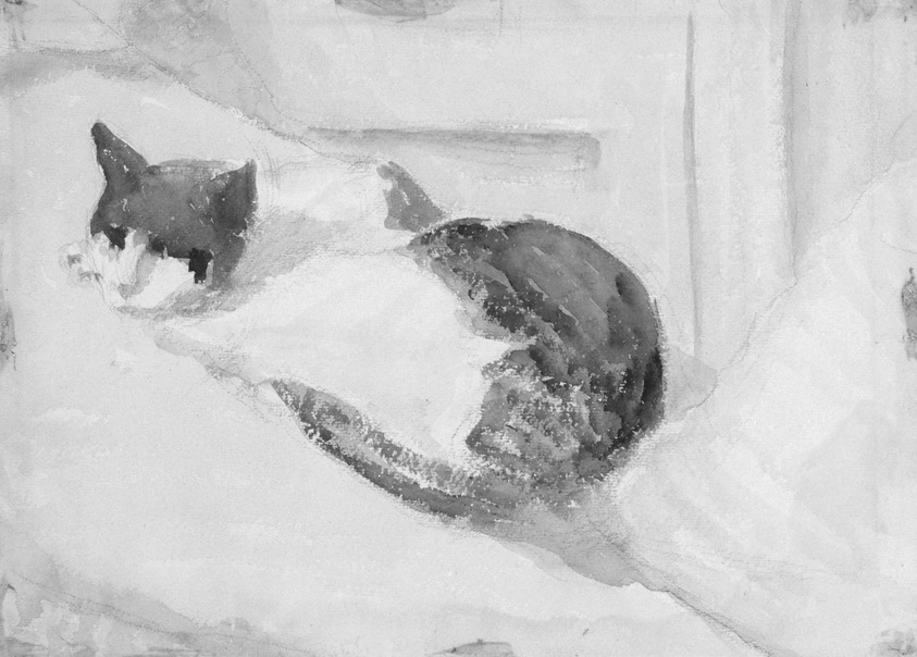 Milton Avery (American, 1885-1965). <em>Sleeping Cat</em>, ca. 1930-1932. Watercolor over graphite on paper, Sheet: 11 x 15 1/4 in. (28 x 38.7 cm) (uneven). Brooklyn Museum, Bequest of Ivor Green and Augusta Green, 1992.271.11. © artist or artist's estate (Photo: Brooklyn Museum, 1992.271.11_bw.jpg)