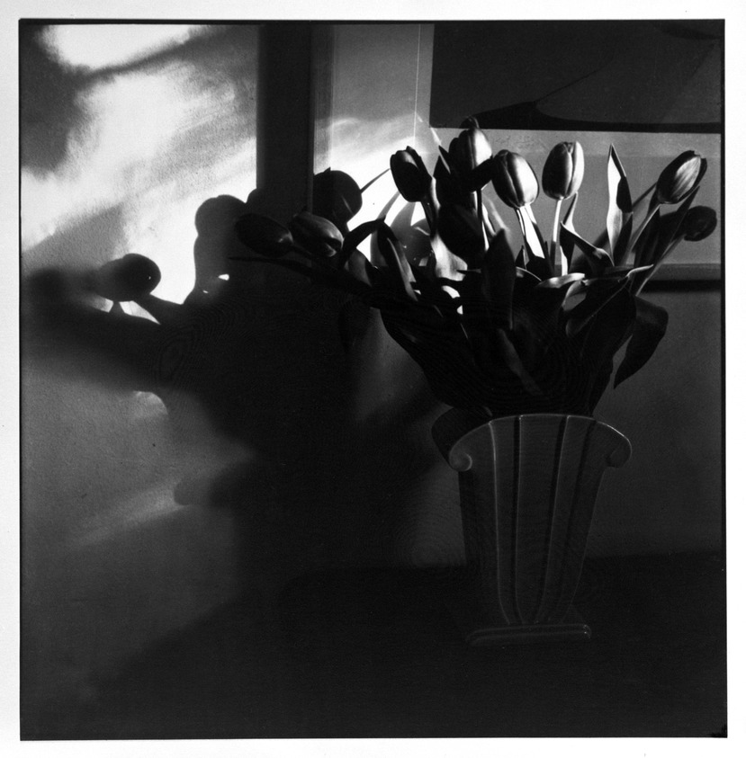Bruce Cratsley (American, 1944-1998). <em>Terry's Tulips</em>, 1985. Selenium-toned gelatin silver photograph, image: 9 1/2 x 9 1/4 in. (24.1 x 23.5 cm). Brooklyn Museum, Gift of Jonathan L. Fagin, 1995.207.9. © artist or artist's estate (Photo: Brooklyn Museum, 1995.207.9_bw.jpg)
