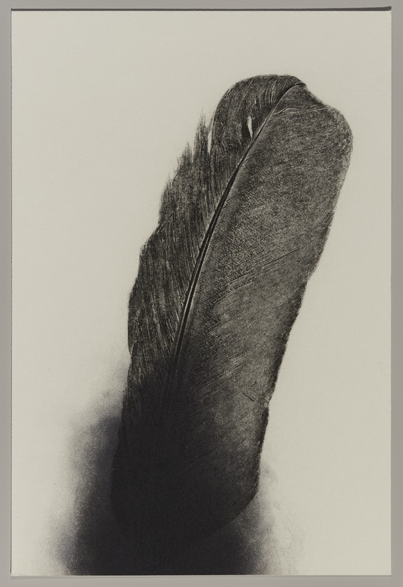 Sandy Gellis (American, born 1944). <em>Great Blue Heron</em>, 1996. Softground etching, spit bite aquatint, Sheet: 7 1/2 x 5 1/8 in. (19.1 x 13 cm). Brooklyn Museum, Alfred T. White Fund, 1997.12.2. © artist or artist's estate (Photo: Brooklyn Museum, 1997.12.2_PS11.jpg)