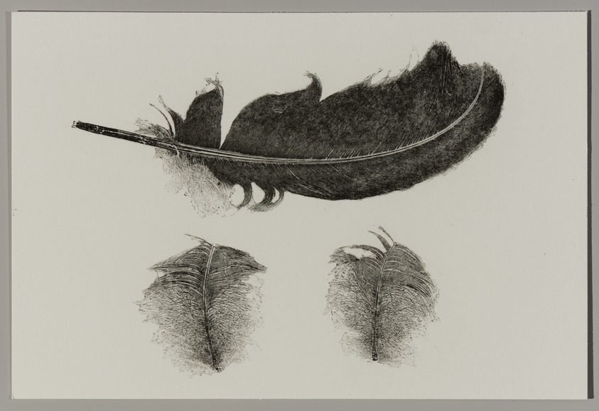 Sandy Gellis (American, born 1944). <em>Canada Goose</em>, 1996. Softground etching, spit bite aquatint, Sheet: 5 1/8 x 7 1/2 in. (13 x 19.1 cm). Brooklyn Museum, Alfred T. White Fund, 1997.12.3. © artist or artist's estate (Photo: Brooklyn Museum, 1997.12.3_PS11.jpg)