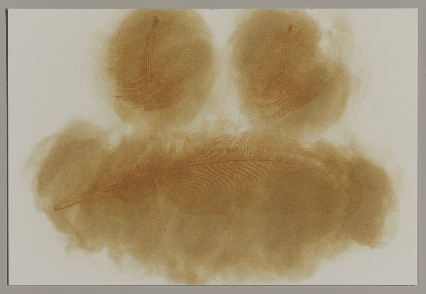 Karen McCready. <em>Canada Goose</em>, 1996. Softground etching, spit bite aquatint, Sheet: 5 1/8 x 7 1/2 in. (13 x 19.1 cm). Brooklyn Museum, Alfred T. White Fund, 1997.12.4. © artist or artist's estate (Photo: Brooklyn Museum, 1997.12.4_PS20.jpg)