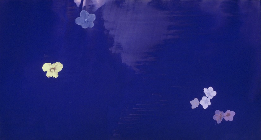 Mary K. Weatherford (American, born 1963). <em>Violetta</em>, 1991. Acrylic, Flashe vinyl colors, silkscreen on canvas, 72 x 132 x 2 1/4 in. (182.9 x 335.3 cm). Brooklyn Museum, Gift of Marion and Anthony Scotto, 1997.35. © artist or artist's estate (Photo: Brooklyn Museum, 1997.35_transpc002.jpg)