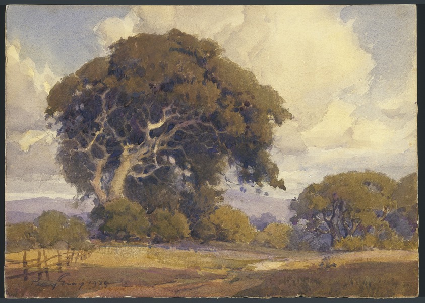 Percy Gray (American, 1869-1952). <em>Weathered Oak</em>, 1930. Watercolor and opaque watercolor over graphite on off-white wove paper mounted to pulpboard board, 9 7/8 x 14 in. (25.1 x 35.6 cm). Brooklyn Museum, Gift of Janet Whitton Pynch and Donald C. Whitton in memory of their parents, Cleland and Katherine Whitton, 1998.101. © artist or artist's estate (Photo: Brooklyn Museum, 1998.101_SL1.jpg)