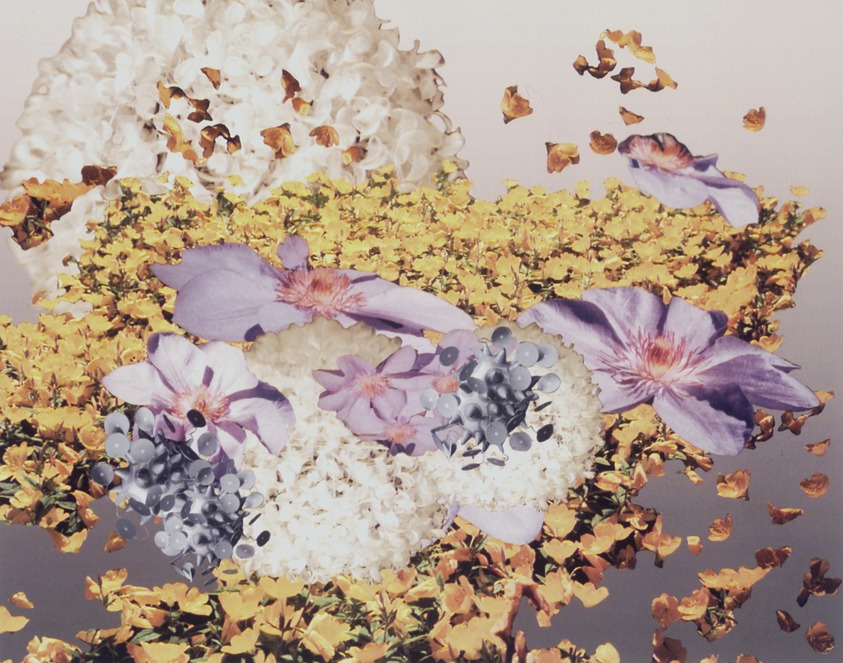 Alyson Shotz (American, born 1964). <em>Natural Selection #3</em>, 1999. Inkjet print, 28 1/2 x 33 in.  (72.4 x 83.8 cm). Brooklyn Museum, Alfred T. White Fund, 2001.60 (Photo: Brooklyn Museum, 2001.60_transp5859.jpg)