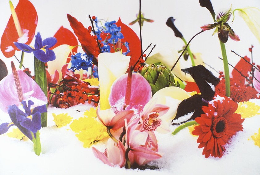 Marc Quinn (British, born 1964). <em>[Untitled]</em>, 2003. Digital pigment print with varnish, 32 3/8 × 48 1/4 in. (82.2 × 122.6 cm). Brooklyn Museum, Gift of Charles Booth-Clibborn and The Paragon Press, gift of the Prints and Photographs Council, gift of Dr. and Mrs. Frank L. Babbott, by exchange, and gift of Temple Beth Am, 2004.42.2. © artist or artist's estate (Photo: Brooklyn Museum, 2004.42.2.jpg)