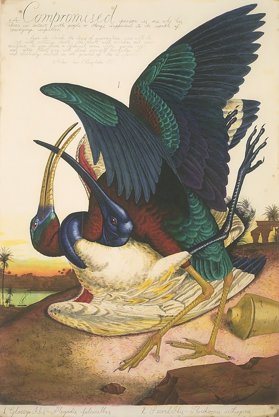 Walton Ford (American, born 1960). <em>Compromised</em>, 2002. 6-color hard ground and soft ground etching, aquatint, spit bite, drypoint and roulette, 44 x 33 in. (111.8 x 83.8 cm). Brooklyn Museum, Emily Winthrop Miles Fund, 2004.63. © artist or artist's estate (Photo: Brooklyn Museum, 2004.63.jpg)