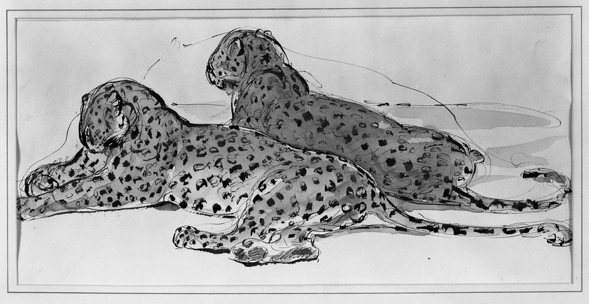 Herman Palmer (American, born 1894). <em>Leopards</em>. Watercolor Brooklyn Museum, Caroline H. Polhemus Fund, 24.68. © artist or artist's estate (Photo: Brooklyn Museum, 24.68_acetate_bw.jpg)