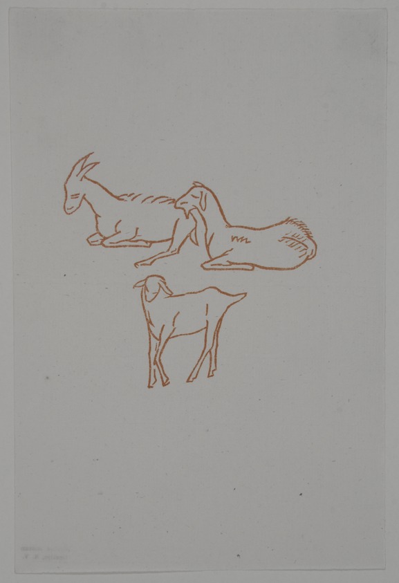 Aristide Maillol (French, 1861-1944). <em>[Untitled] (Three Goats)</em>, 1937. Woodcut on handmade laid paper, Image: 3 1/4 x 3 1/2 in.  (8.3 x 8.9 cm). Brooklyn Museum, Charles Stewart Smith Memorial Fund, 42.10.38. © artist or artist's estate (Photo: , 42.10.38_view01_PS12.jpg)