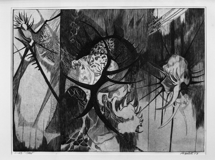 Walter Rogalski (American, 1925-1996). <em>Coral</em>, 1953. Engraving on paper, 17 3/4 x 23 7/8 in. (45.1 x 60.6 cm). Brooklyn Museum, Gift of the artist, 54.151. © artist or artist's estate (Photo: Brooklyn Museum, 54.151_acetate_bw.jpg)
