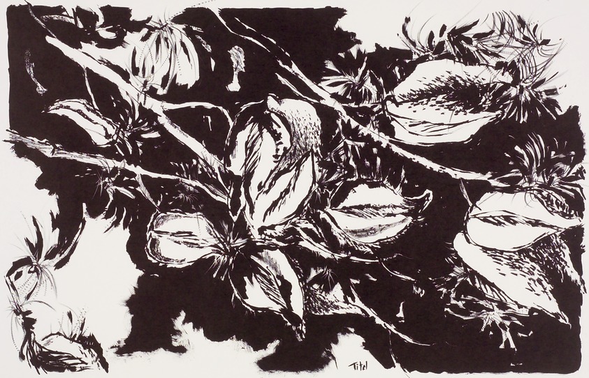 Irving Titel. <em>Milkweed</em>, 1954. Lithograph, Sheet: 18 7/8 x 24 7/8 in. (47.9 x 63.2 cm). Brooklyn Museum, Gift of Artists Equity, Chicago Chapter, 54.153.24. © artist or artist's estate (Photo: Brooklyn Museum, 54.153.24.jpg)