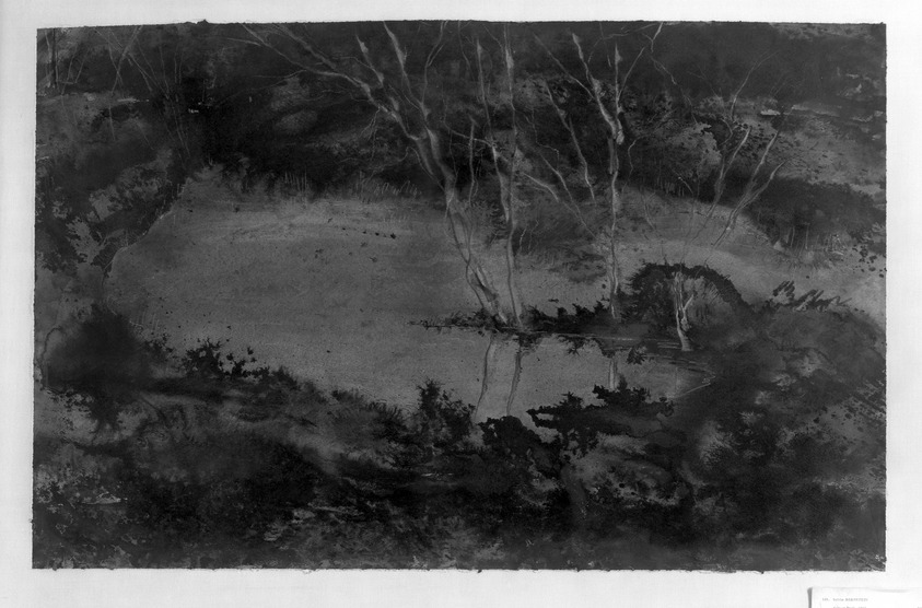 Sylvia Bernstein (American, 1918-1990). <em>Forest Pool</em>, 1961. Watercolor on paper, 25 1/2 x 39 3/8 in. (64.8 x 100 cm). Brooklyn Museum, Gift of the artist, 63.102. © artist or artist's estate (Photo: Brooklyn Museum, 63.102_acetate_bw.jpg)