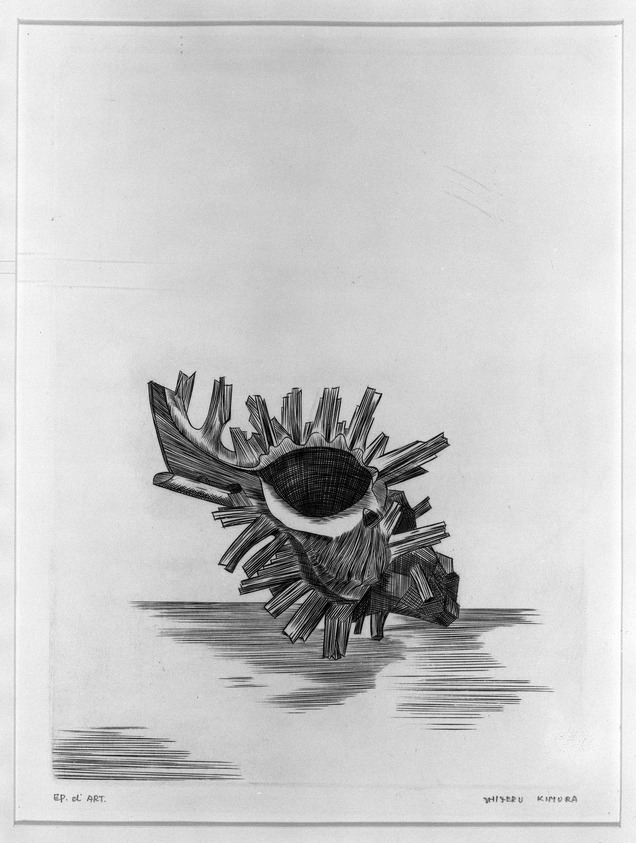 Kimura Shigeru (Japanese). <em>A Shell</em>. Etching, 8 7/16 x 6 1/4 in. (21.5 x 15.9 cm). Brooklyn Museum, Carll H. de Silver Fund, 63.67.3. © artist or artist's estate (Photo: Brooklyn Museum, 63.67.3_acetate_bw.jpg)
