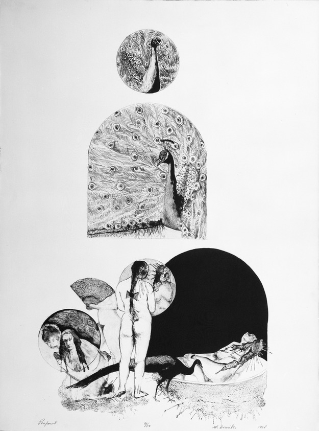 Murray Zimiles (American, born 1941). <em>Pea Fowl</em>, 1968. Lithograph on paper, sheet: 30 1/8 x 22 1/4 in. (76.5 x 56.5 cm). Brooklyn Museum, Gift of the artist, 69.58.4. © artist or artist's estate (Photo: Brooklyn Museum, 69.58.4_bw.jpg)