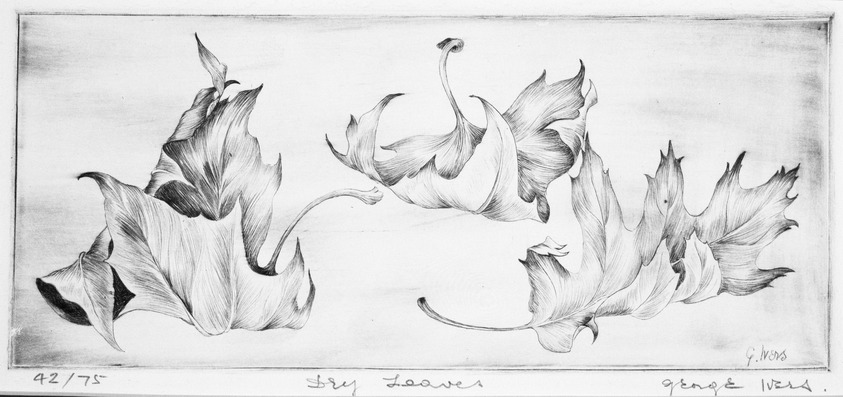 George Ivers (American, 1922–2011). <em>Dry Leaves</em>, mid–20th century. Drypoint, 4 1/2 x 10 1/2 in. (11.4 x 26.7 cm). Brooklyn Museum, Gift of the artist, 69.86. © artist or artist's estate (Photo: Brooklyn Museum, 69.86_bw.jpg)