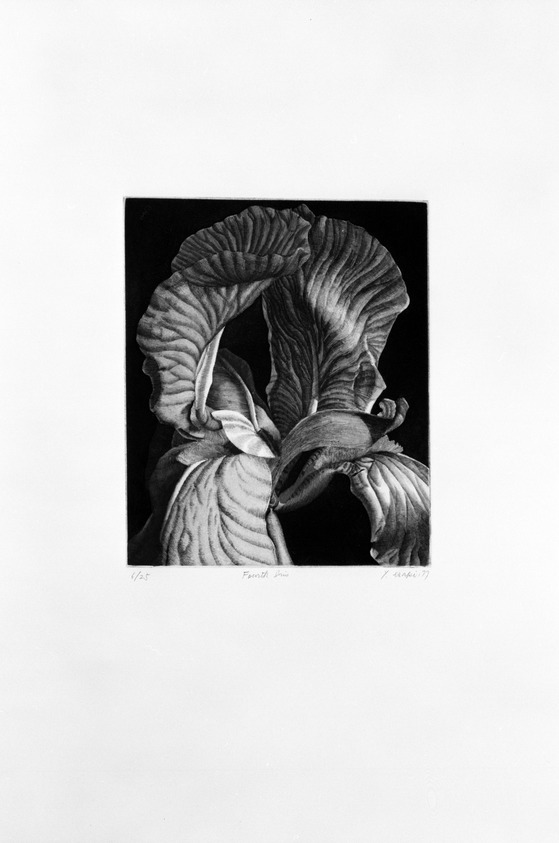 Esaki Yasuhiro (American, born Japan, 1941). <em>Fourth Iris</em>, 1977. Hand colored etching and aquatint, Sheet: 22 1/4 x 15 in. (56.5 x 38.1 cm). Brooklyn Museum, Gift of David Temple, 78.98.1. © artist or artist's estate (Photo: Brooklyn Museum, 78.98.1_bw.jpg)