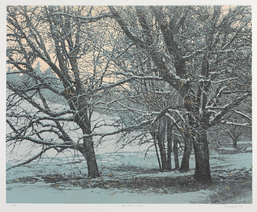Peter Holbrook (American, 1940 - 2016). <em>Oak Grove-Winter</em>, 1977. Color lithograph, Sheet: 26 3/4 x 30 3/4 in. (67.9 x 78.1 cm). Brooklyn Museum, Gift of David Temple, 78.98.3. © artist or artist's estate (Photo: Brooklyn Museum, 78.98.3_PS9.jpg)