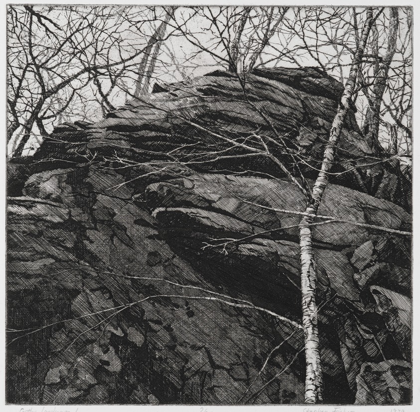 Stephen Fisher (American, born 1954). <em>Gothic Landscape I</em>, 1979. Etching, Sheet: 15 5/16 x 14 13/16 in. (38.9 x 37.6 cm). Brooklyn Museum, Designated Purchase Fund, 80.27.1. © artist or artist's estate (Photo: Brooklyn Museum, 80.27.1_PS2.jpg)