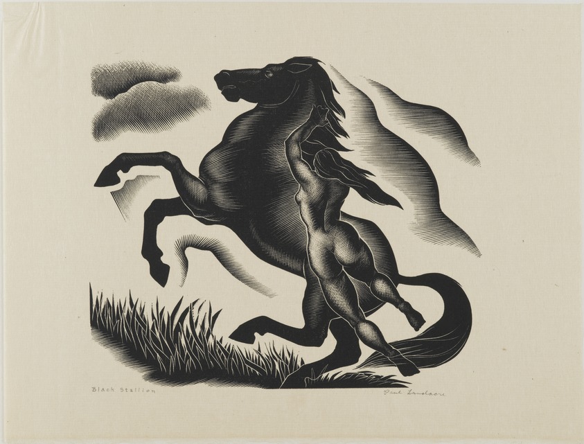 Paul Landacre (American, 1893-1963). <em>Black Stallion</em>, 1940. Wood engraving, Sheet: 7 7/8 x 10 3/8 in. (20 x 26.4 cm). Brooklyn Museum, Designated Purchase Fund, 80.57.5. © artist or artist's estate (Photo: Brooklyn Museum, 80.57.5_PS2.jpg)