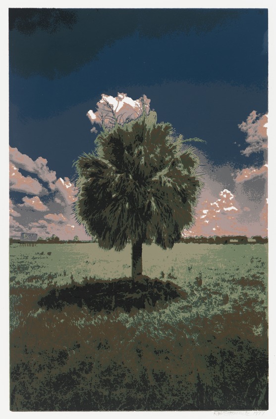 Richard Steinmetz (American, born 1947). <em>Florida Cloudscape VI</em>, 1977. Serigraph Brooklyn Museum, Designated Purchase Fund, 81.254.2. © artist or artist's estate (Photo: Brooklyn Museum, 81.254.2_PS4.jpg)