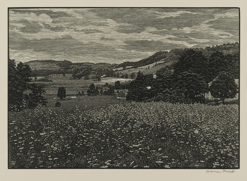 Warren Bryan Mack (American, 1896-1952). <em>Queen Anne's Lace</em>, 1946. Wood engraving on paper, sheet: 9 5/8 x 12 13/16 in. (24.4 x 32.5 cm). Brooklyn Museum, Frank L. Babbott Fund, 81.90.5. © artist or artist's estate (Photo: Brooklyn Museum, 81.90.5_PS2.jpg)