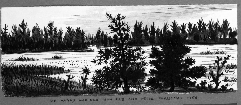 Peter Blume (American, 1906-1992). <em>Untitled (Lake Scene with Tress)</em>, 1958. India ink on Japanese paper, 4 1/8 x 11 in. (10.5 x 27.9 cm). Brooklyn Museum, Bequest of Nancy S. Holsten in memory of Edward L. Holsten, 87.204.3. © artist or artist's estate (Photo: Brooklyn Museum, 87.204.3_bw.jpg)