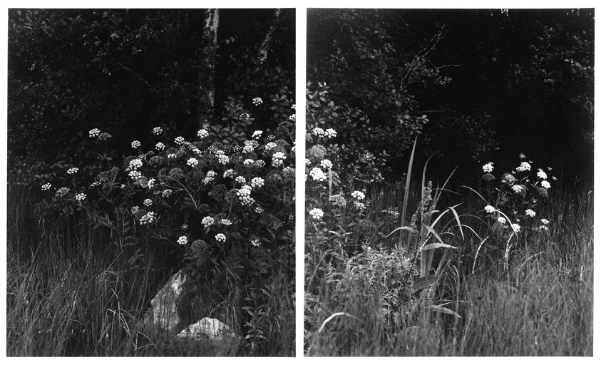 Mikael Levin (American, born 1954). <em>Untitled (Sweden)</em>, 1986; printed 1987. Silver bromide photograph, sheet (each): 10 × 7 7/8 in. (25.4 × 20 cm). Brooklyn Museum, Gift of Jonathan Rosen, 87.98a-b. © artist or artist's estate (Photo: Brooklyn Museum, 87.98a-b_bw.jpg)