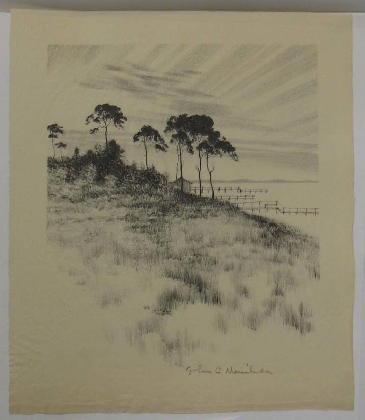 John C. Menihan (American, 1908–1992). <em>Pines Near Osterville</em>, ca. 1942. Lithograph on cream-colored thin laid paper, Image: 8 1/16 x 6 7/8 in. (20.5 x 17.5 cm). Brooklyn Museum, Gift of the family of John C. Menihan, 1993.223.3. © artist or artist's estate (Photo: Brooklyn Museum, CUR.1993.223.3.jpg)