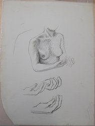 James Brooks (American, 1906-1992). <em>[Untitled] (Nude Female Upper Torso and Two Hands)</em>, n.d. Charcoal on paper, Sheet: 21 x 16 in. (53.3 x 40.6 cm). Brooklyn Museum, Gift of Charlotte Park Brooks in memory of her husband, James David Brooks, 1996.54.103. © artist or artist's estate (Photo: Brooklyn Museum, CUR.1996.54.103.jpg)