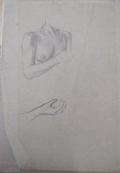 James Brooks (American, 1906-1992). <em>[Untitled] (Upper Torso and a Hand)</em>, n.d. Graphite and charcoal on paper, Sheet: 16 15/16 x 13 13/16 in. (43 x 35.1 cm). Brooklyn Museum, Gift of Charlotte Park Brooks in memory of her husband, James David Brooks, 1996.54.105. © artist or artist's estate (Photo: Brooklyn Museum, CUR.1996.54.105.jpg)
