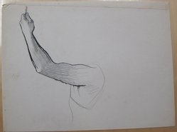 James Brooks (American, 1906-1992). <em>[Untitled] (Upraised Arm Grasping a Pole)</em>, n.d. Ink and graphite on paper, Sheet (irregular): 18 13/16 x 23 15/16 in. (47.8 x 60.8 cm). Brooklyn Museum, Gift of Charlotte Park Brooks in memory of her husband, James David Brooks, 1996.54.228. © artist or artist's estate (Photo: Brooklyn Museum, CUR.1996.54.228.jpg)