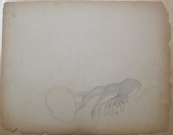 James Brooks (American, 1906-1992). <em>[Untitled] (Nude Male Lying Down as Seen from His Head Looking Down the Length of His Body)</em>, n.d. Graphite on paper, Sheet (irregular): 17 7/8 x 23 1/8 in. (45.4 x 58.7 cm). Brooklyn Museum, Gift of Charlotte Park Brooks in memory of her husband, James David Brooks, 1996.54.243. © artist or artist's estate (Photo: Brooklyn Museum, CUR.1996.54.243.jpg)