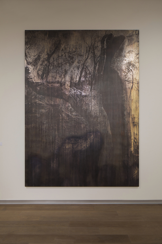 Michael Joo (American, born 1966). <em>Entasis (xylem)</em>, 2016. Silver nitrate and epoxy ink on canvas, 132 × 96 × 2 in. (335.3 × 243.8 × 5.1 cm). Brooklyn Museum, Gift of Ruth and William S. Ehrlich, 2017.11. © artist or artist's estate (Photo: Image courtesy of Michael Joo Studio, CUR.2017.11_MichaelJooStudio_photograph.jpg)