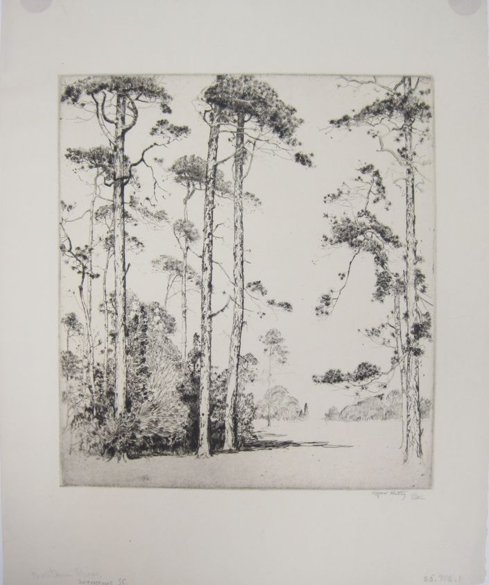 Alfred H. Hutty (American, 1878–1954). <em>Southern Pines</em>, 1925. Etching on wove paper, Image: 10 7/8 x 9 7/8 in. (27.6 x 25.1 cm). Brooklyn Museum, 25.906.1. © artist or artist's estate (Photo: Brooklyn Museum, CUR.25.906.1.jpg)
