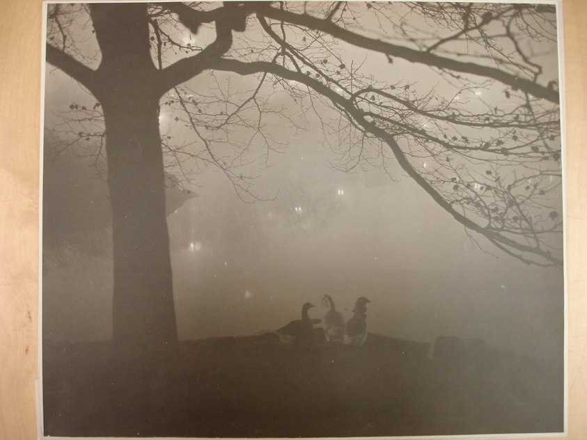 Arthur Brower (American, 1916–1974). <em>Fog in Central Park</em>. print, sheet: 13 1/2 x 16 1/2 in. (34.3 x 41.9 cm). Brooklyn Museum, Gift of the artist, 41.1244. © artist or artist's estate (Photo: Brooklyn Museum, CUR.41.1244.jpg)