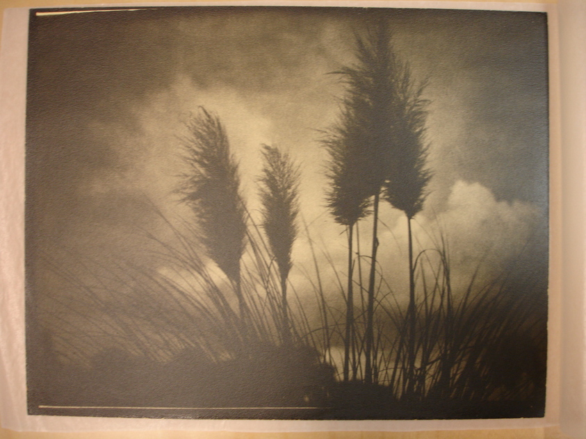 Bernhard Benson (American). <em>Sky Brooms</em>. print, 11 x 14 in. (27.9 x 35.6 cm). Brooklyn Museum, Gift of the artist, 41.592 (Photo: Brooklyn Museum, CUR.41.592.jpg)