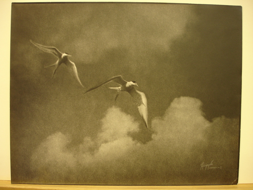 Joseph Palladino (American). <em>Flight</em>. print, 11 × 14 in. (27.9 × 35.6 cm). Brooklyn Museum, Gift of the artist, 41.679 (Photo: Brooklyn Museum, CUR.41.679.jpg)