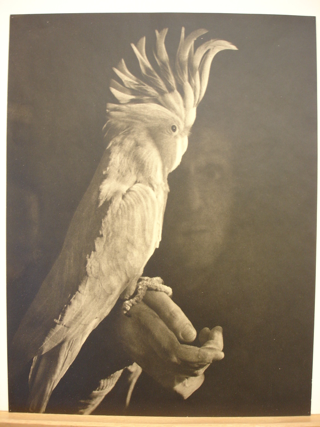 Eleanor Bradford Norman (American). <em>Cockey</em>. print, 12 1/4 × 16 1/4 in. (31.1 × 41.3 cm). Brooklyn Museum, Gift of the artist, 41.880 (Photo: Brooklyn Museum, CUR.41.880.jpg)