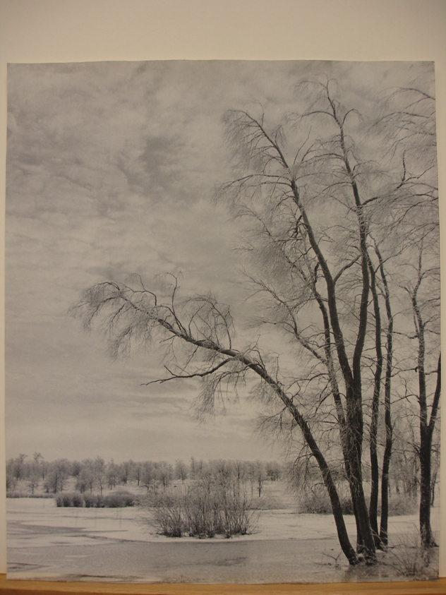 Guy Jaconelli (American, born Italy, 1894–1952). <em>Decoration by Winter</em>. print, 13 1/2 x 16 1/2 in. (34.3 x 41.9 cm). Brooklyn Museum, Gift of the artist, 43.37. © artist or artist's estate (Photo: Brooklyn Museum, CUR.43.37.jpg)