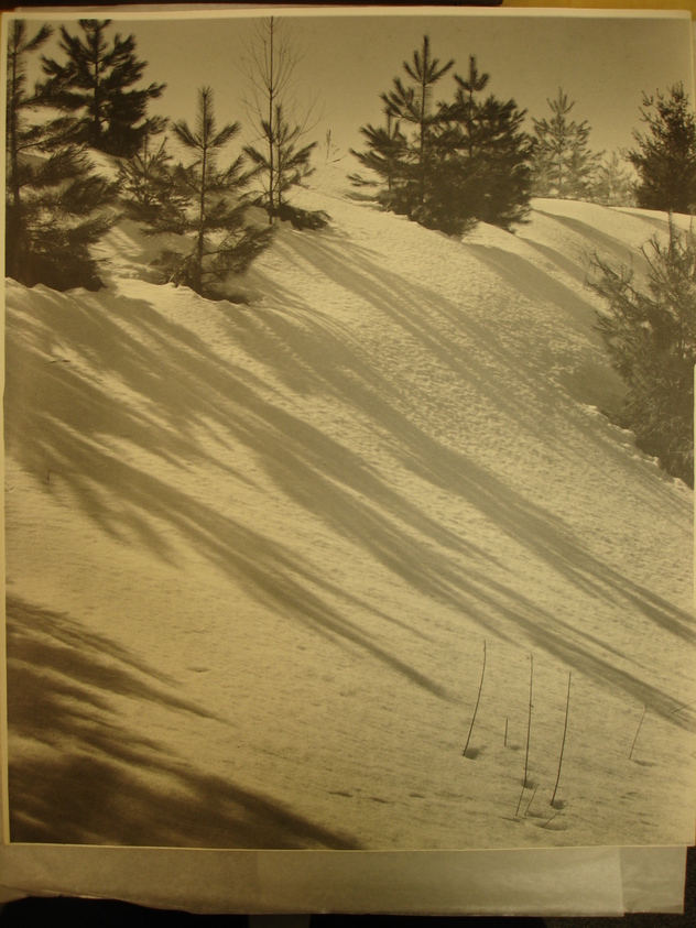 Newell Green (American, 1901-1993). <em>Dancing Shadows</em>, early 20th century. Photograph, 14 x 17 in. (35.6 x 43.2 cm). Brooklyn Museum, Gift of the artist, 47.82. © artist or artist's estate (Photo: Brooklyn Museum, CUR.47.82.jpg)