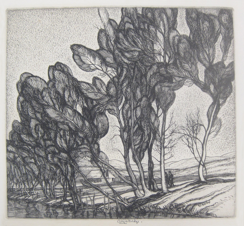 Roi Partridge (American, 1888–1984). <em>Tall Willows</em>, 1932–1933. Etching on paper, sheet: 8 1/2 x 10 7/8 in.  (21.6 x 27.6 cm);. Brooklyn Museum, Designated Purchase Fund, 79.57.3. © artist or artist's estate (Photo: Brooklyn Museum, CUR.79.57.3.jpg)