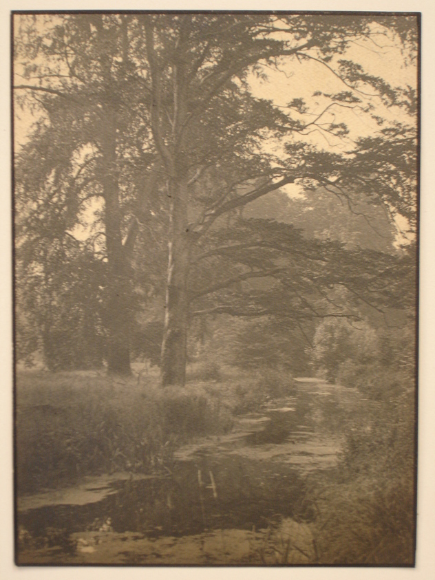 Henry S. Barbe-West. <em>Landscape, Tree and Stream</em>, late 19th–early 20th century. print, image/sheet: 8 1/8 x 5 7/8 in. (20.6 x 14.9 cm). Brooklyn Museum, Gift of Isaac Lagnado, 86.212.6. © artist or artist's estate (Photo: Brooklyn Museum, CUR.86.212.6.jpg)