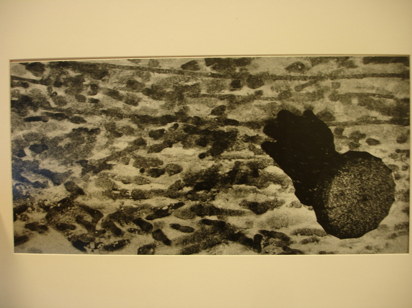 W. Eugene Smith (American, 1918-1978). <em>Snow tracks</em>, 1957-1958. Gelatin silver photograph, Sheet: 6 1/8 x 12 1/2 in. (15.6 x 31.8 cm). Brooklyn Museum, Gift of Philip Goutell, 87.245.35. © artist or artist's estate (Photo: Brooklyn Museum, CUR.87.245.35.jpg)