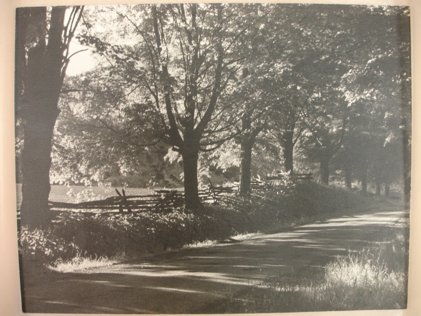 Robert J. Buchanan. <em>Country Lane and Wooden Fence</em>. Gelatin silver print, sheet: 10 1/2 x 13 3/8 in. (26.7 x 34 cm). Brooklyn Museum, Brooklyn Museum Collection, X894.58 (Photo: Brooklyn Museum, CUR.X894.58.jpg)