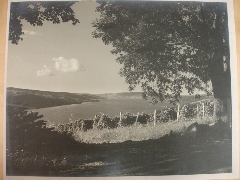 Robert J. Buchanan. <em>Rural Lake</em>. Gelatin silver print, sheet: 10 1/2 x 13 3/8 in. (26.7 x 34 cm). Brooklyn Museum, Brooklyn Museum Collection, X894.60 (Photo: Brooklyn Museum, CUR.X894.60.jpg)
