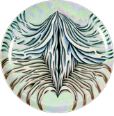 Anne Hutchinson plate